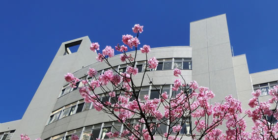 母校支援活動